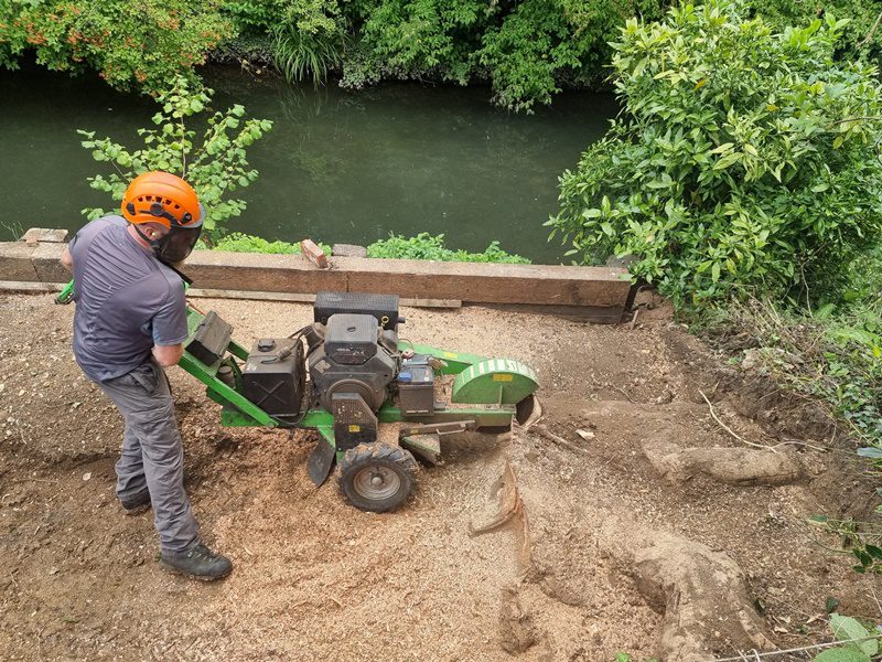 Land managementment services Hertford